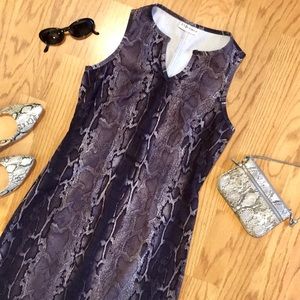 Mirrors Python Dress